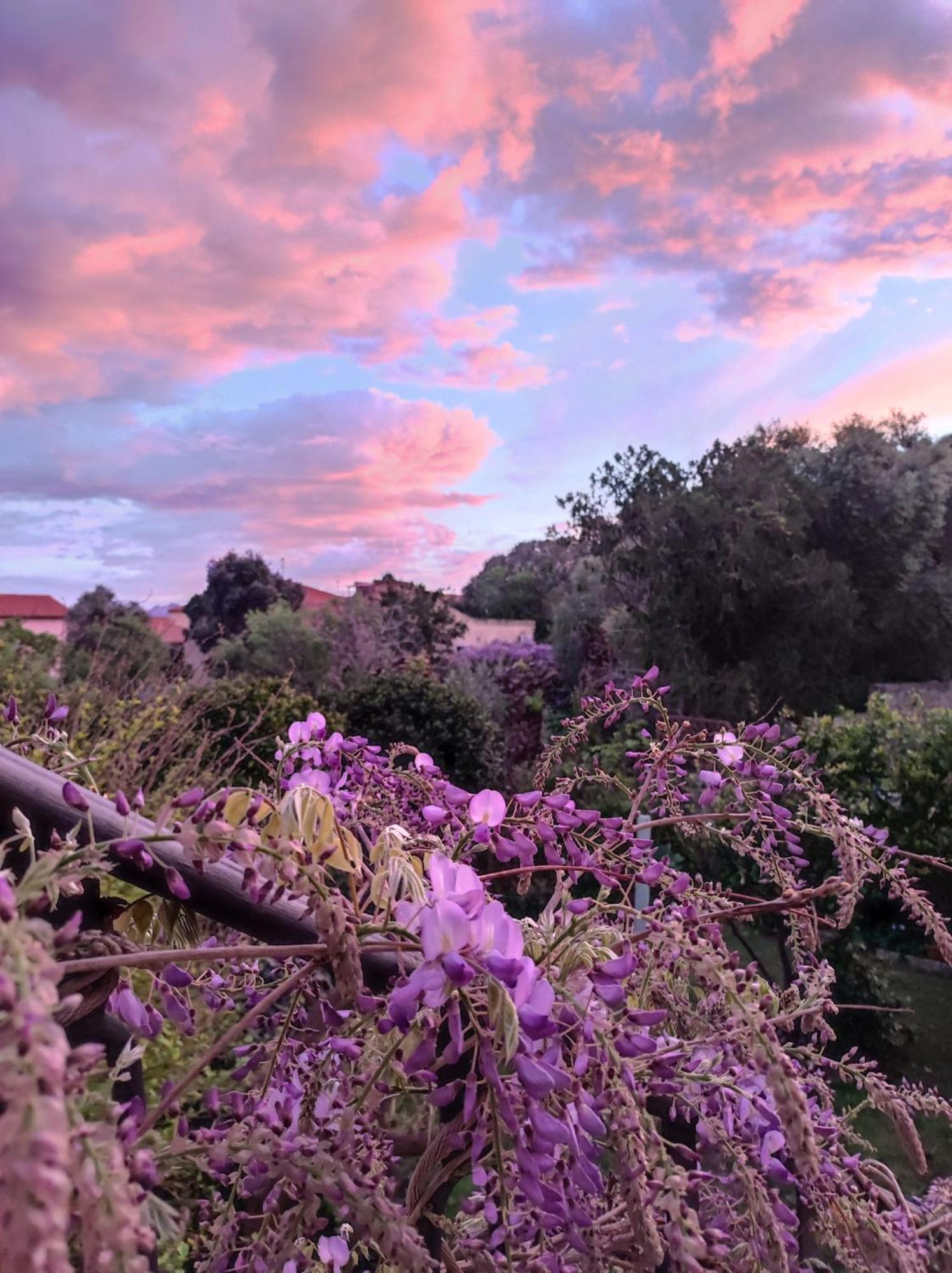 Il Giardino Di Tatiana Rooms & Breakfast La Maddalena  Zimmer foto